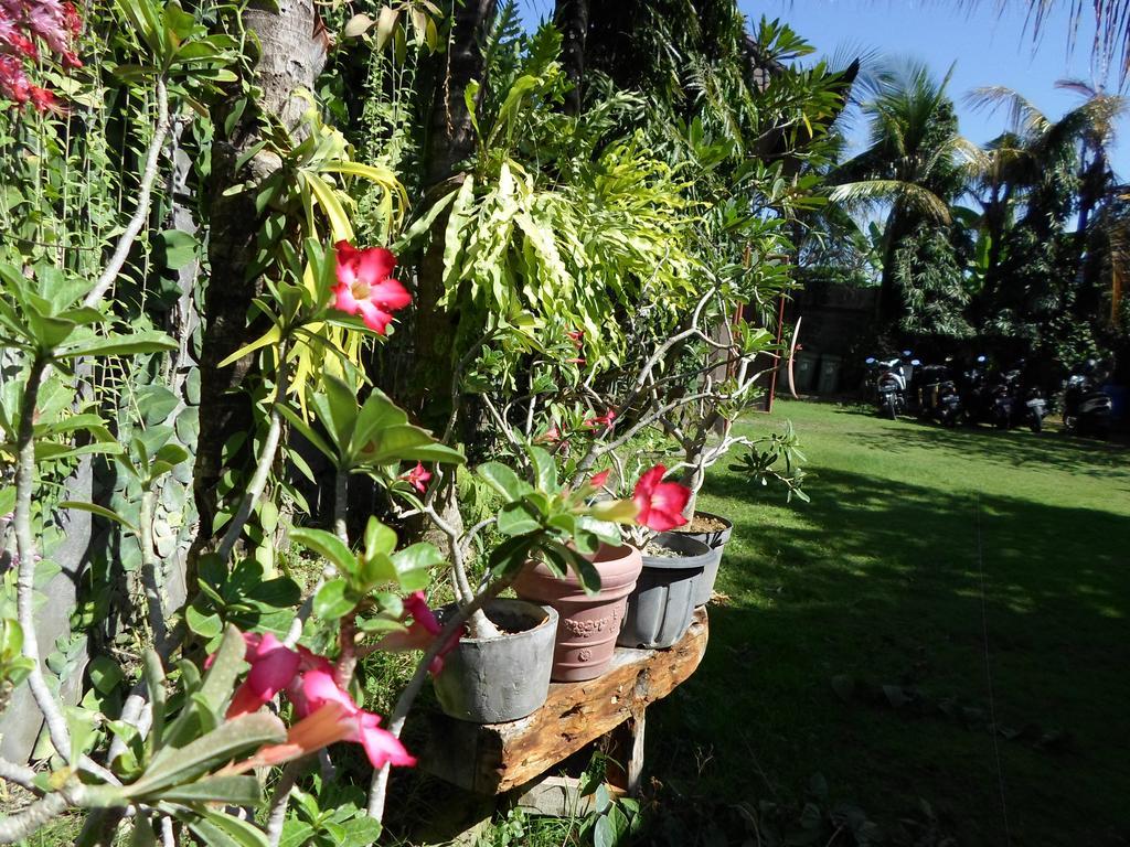Hotel Bali Aman Darling House Canggu Exterior foto