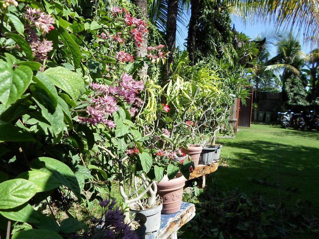Hotel Bali Aman Darling House Canggu Exterior foto